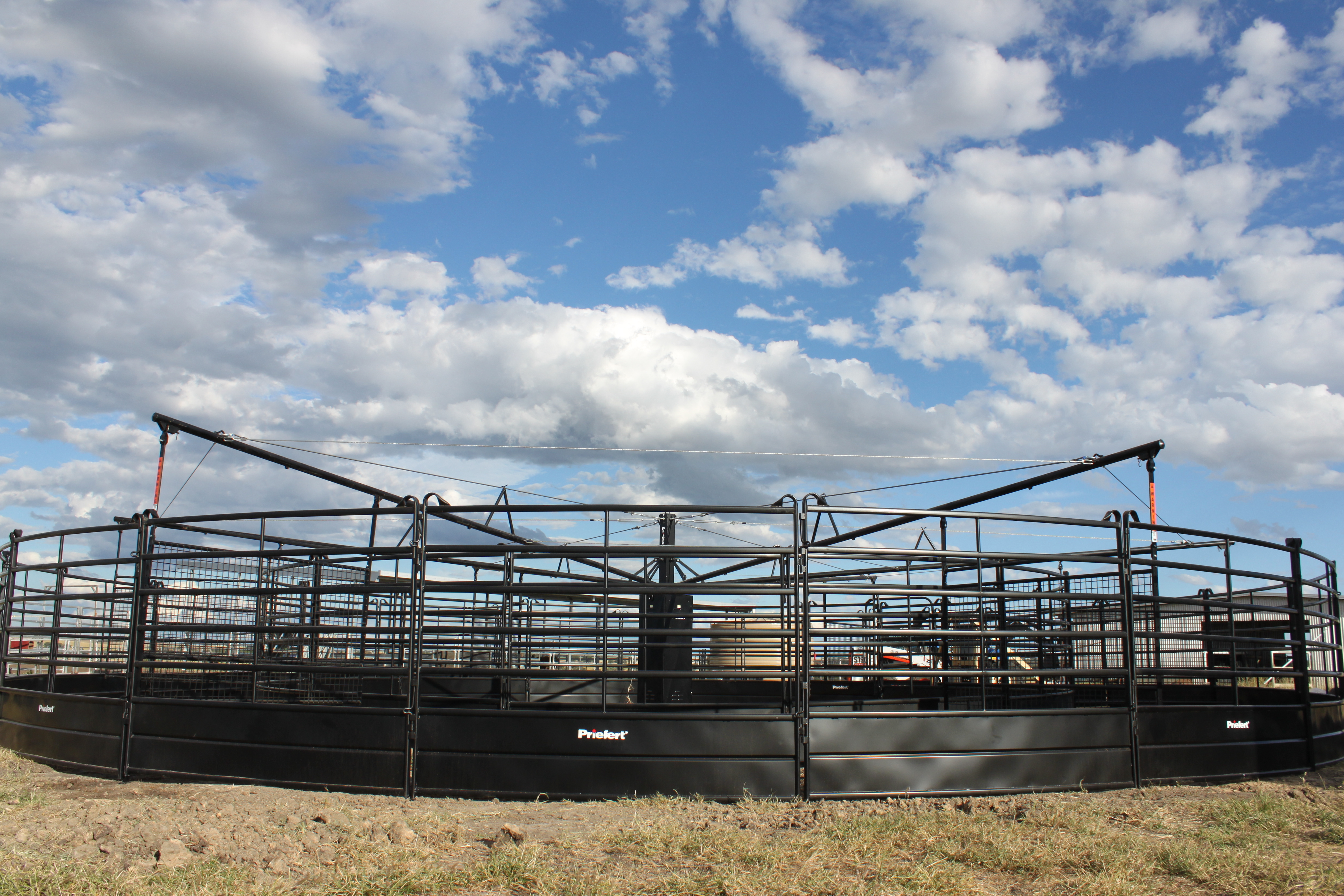 Sharp And Ftizgeradl Walkers 008.JPG